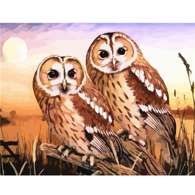 Schilder Op Nummers - Bosuilen