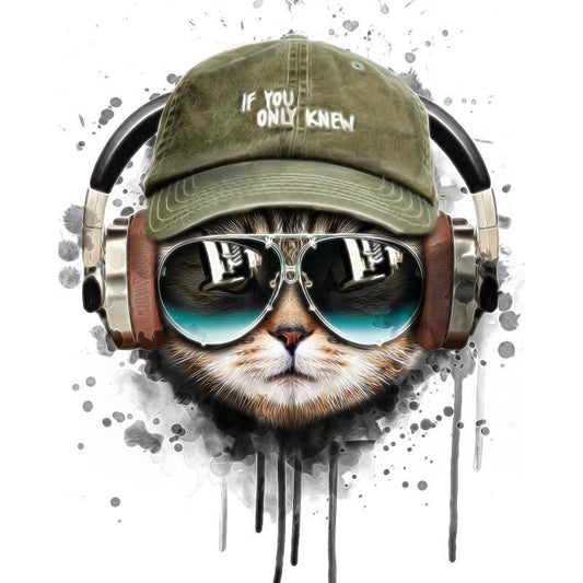 Schilder Op Nummers - Coole kat met koptelefoon