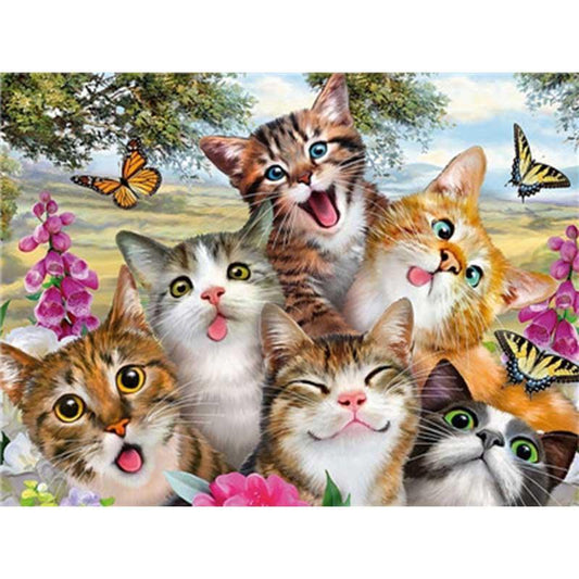 Schilder Op Nummers - Gekke kattengezichten