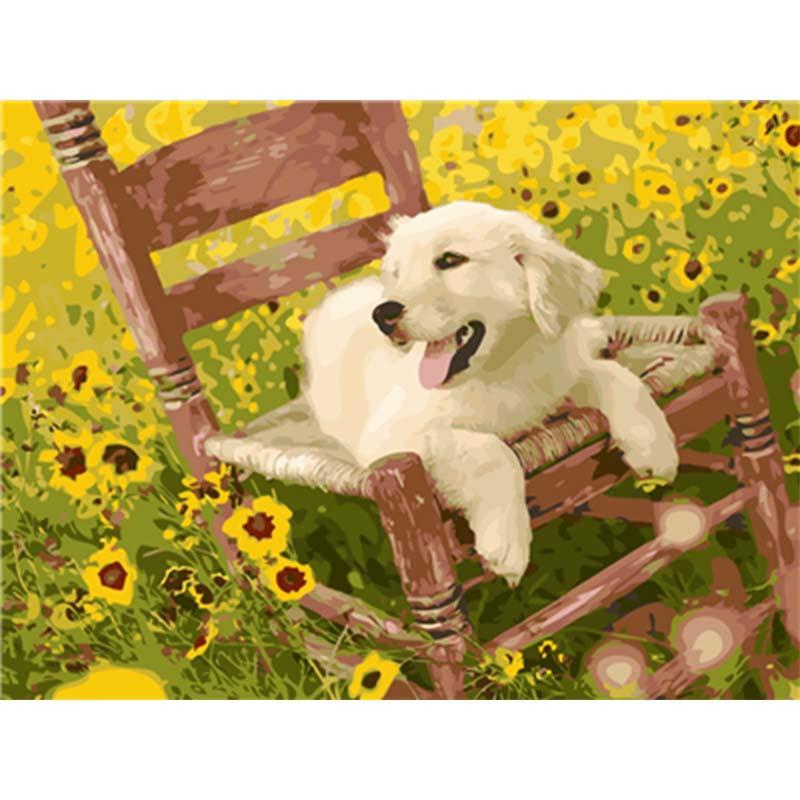 Hond op stoel | Schilderen op nummer Schilderen op nummer eigen foto, Schilderen op nummer volwassenen, paint by numbers, verven op nummer, paard, kinderen