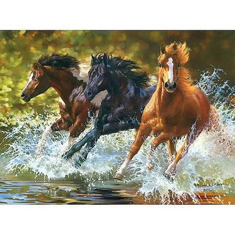Paarden rennen in water | Schilderen op nummer Schilderen op nummer eigen foto, Schilderen op nummer volwassenen, paint by numbers, verven op nummer, paard, kinderen