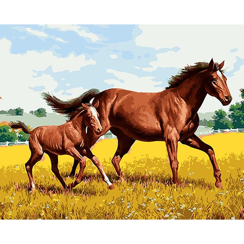 Paarden | Schilderen Op Nummer Schilderen op nummer eigen foto, Schilderen op nummer volwassenen, paint by numbers, verven op nummer, paard, kinderen