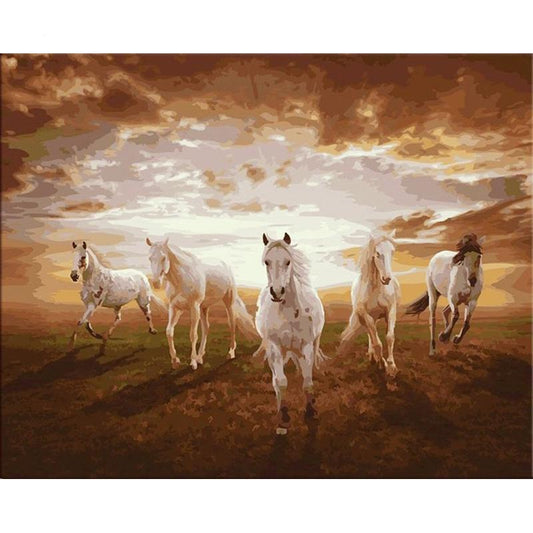 Schilder Op Nummers - Paarden