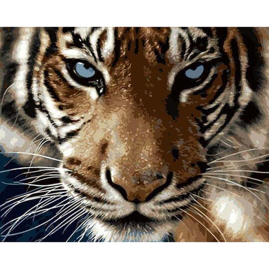 Schilder Op Nummers - Tijger