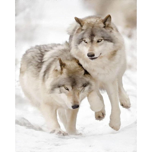 Schilder Op Nummers - Twee grijze wolven in de sneeuw
